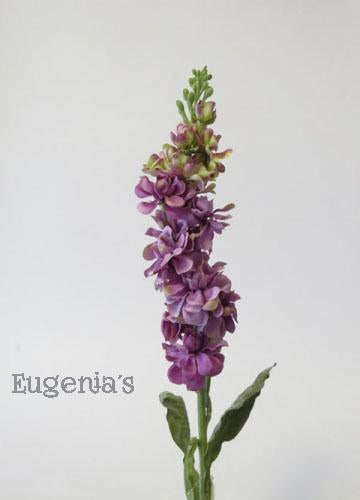 JACINTO VIOLETA - Eugenia's Gifts Accents
